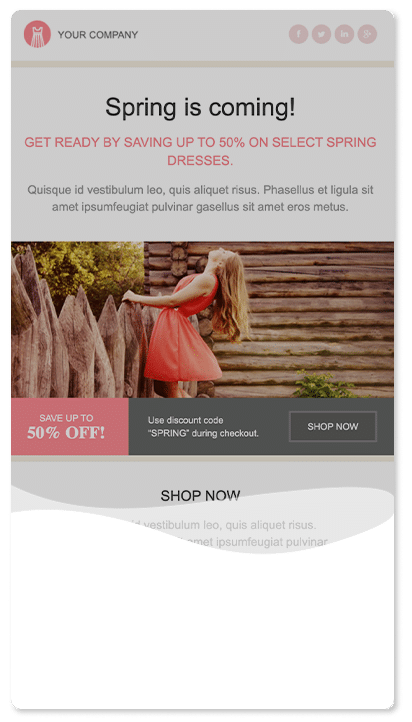 Sale / Offer Email Template